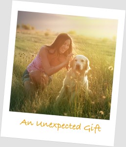 iStock_000023981522_Large