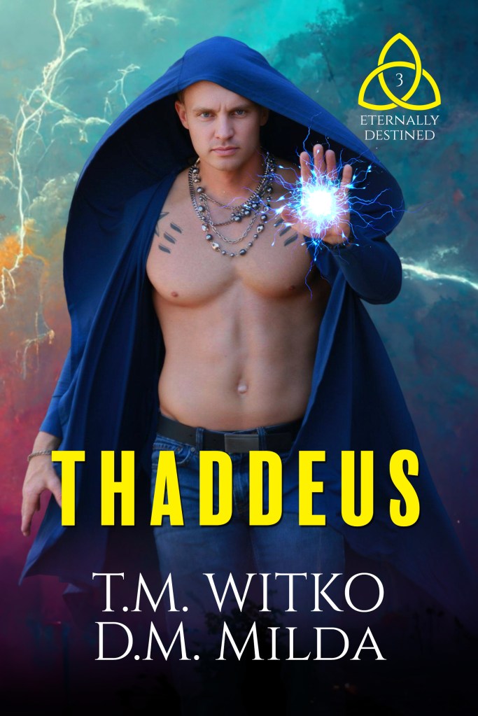 This image has an empty alt attribute; its file name is thaddeus_ebook.jpg